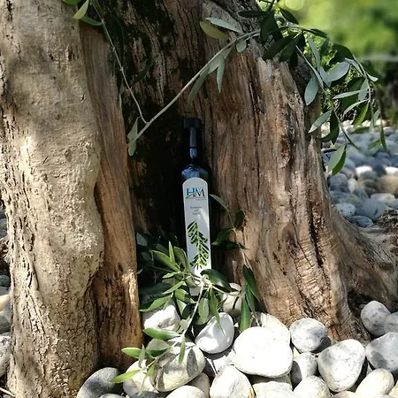Ξενοδοχείο Maxi Limone sul Garda