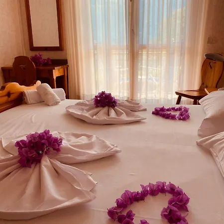Maxi Hotel