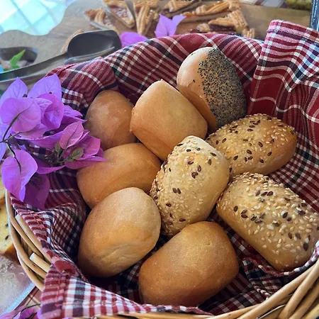 Ξενοδοχείο Maxi 3*